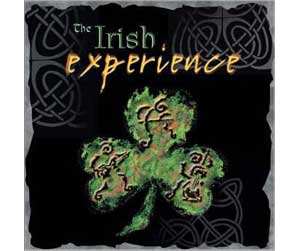 The Irish Experience