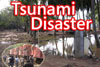 Tsunami disaster