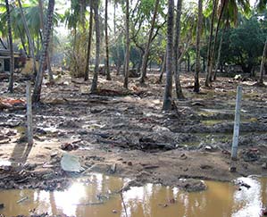 Standing water is still visible in Sri Lanka in the days after the 2004 tsunami.