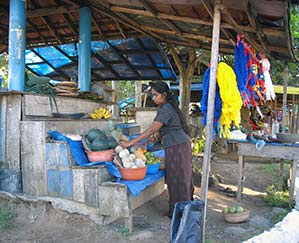 A woman sets up her stand in a market in Sri Lanka - this is days after the tsunami in 2004