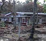 Heather Bosch record images of the tsunami damage on Sri Lanka
